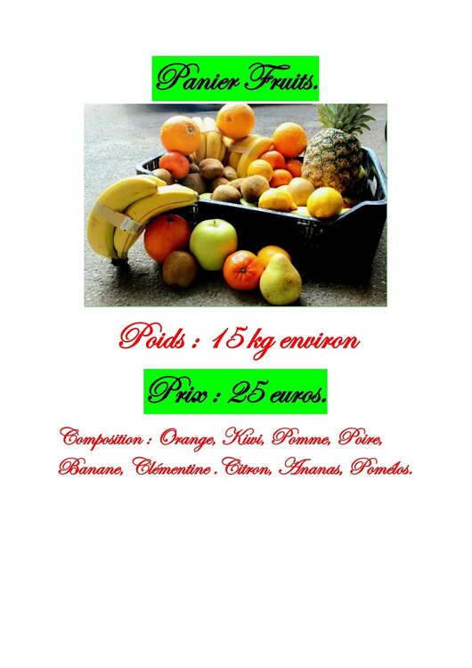 Panier FRUITS SSSS PRESENTATION_220316_152622.jpg
