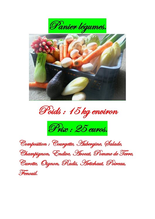 panier legumes présentation-1_220316_152738.jpg