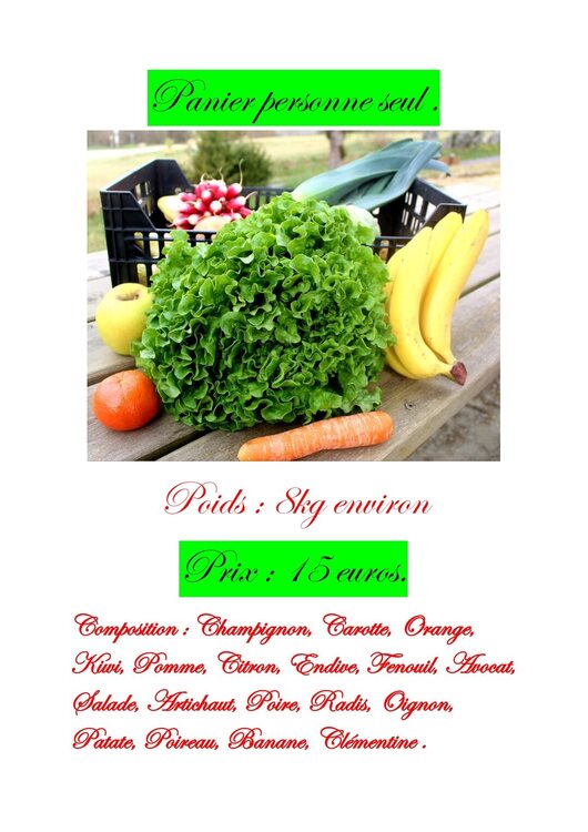 Panier personne seul présentationpdf_220316_144218_1.jpg