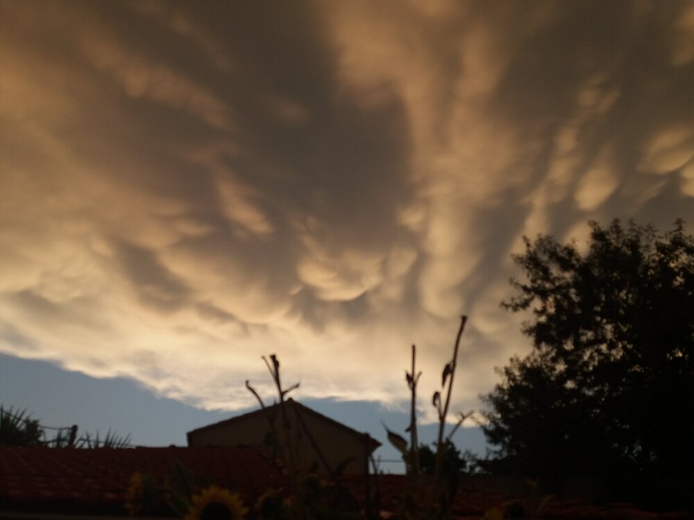 908334581_Nuages_Mamatus_14-08-22(3).thumb.jpg.586f5085cc5704f763bd3670da462dfe.jpg