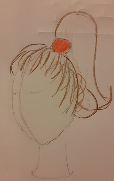 19 Queue de cheval.jpg