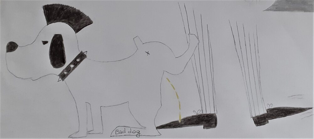 21 Mauvais chien.jpg