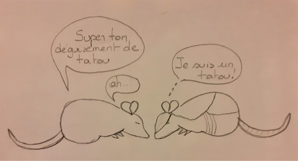 15 Tatou.jpg