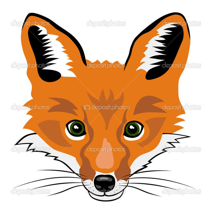 depositphotos_11062598-stock-illustration-fox-head.jpg