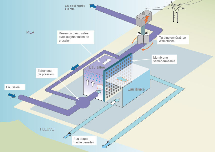 principe-fonctionnement-centrale-osmotique_zoom.jpg.a41791934bbbf566f41a291b3f579d12.jpg
