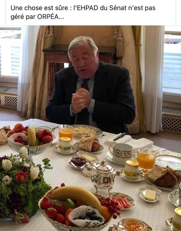 lehpad-du-senat-nest-pas-gere-par-orpea-137031.thumb.jpg.55f7274fff2dc3a94edc98e72500e242.jpg