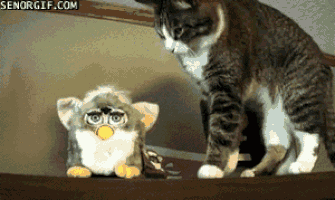 furby.gif.ab4dfbef94065f3628059da6c79f274d.gif