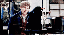 niffler-caught.gif.70b3b083eb5f53c21fa45960711148be.gif