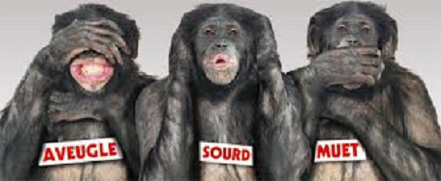 les-3-singes-02.jpg.11fb522b4406ba31e0b8296541a8cbc3.jpg