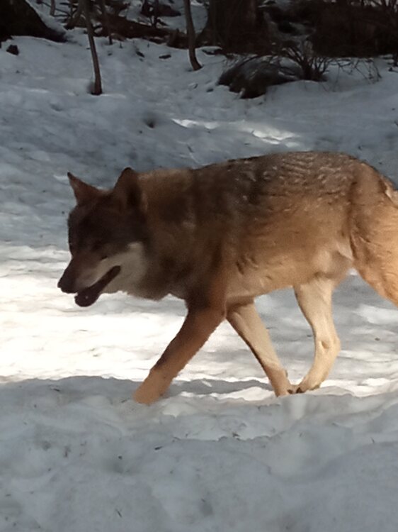 IMG_20230216_144202 (1).jpg