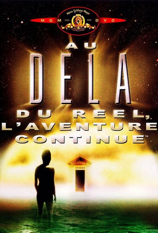 au_dela_du_reel_l_aventure_continue[1].jpg