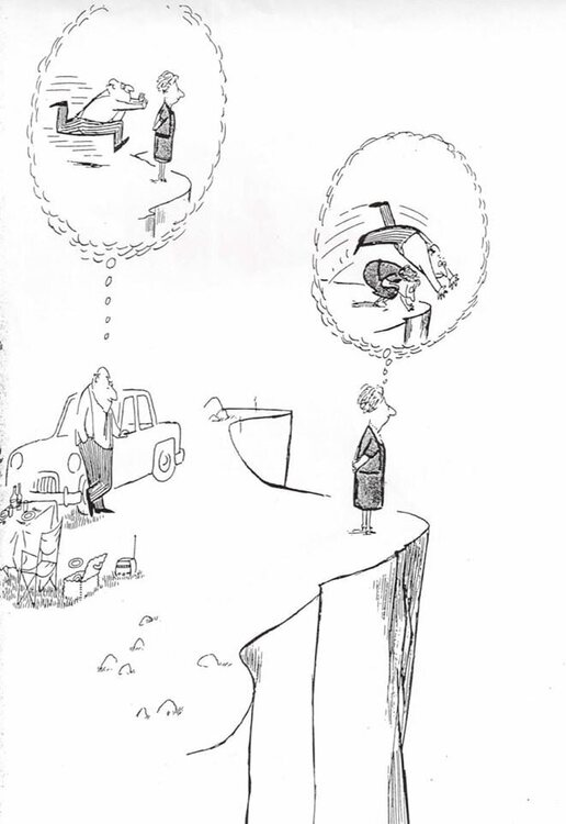 sempe anatomie d'une chute.jpg