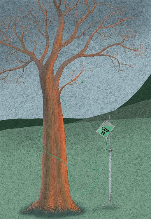 Dobritz-  Sans culotte 85 - 11_2023 .jpg