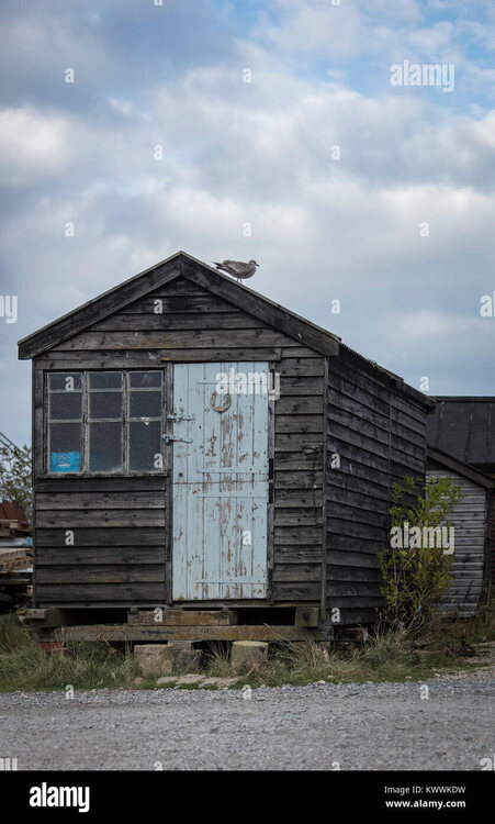 vieille-cabane-de-pecheurs-avec-mouette-kwwkdw.thumb.jpg.a0d8ec9ce9997642fb39f44ba5e87e86.jpg