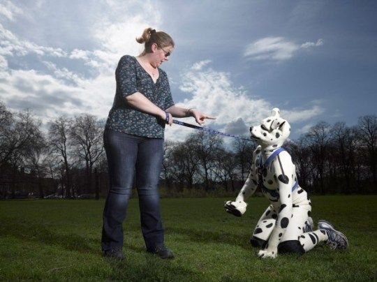 human-pup-spot.jpg.081a0100d94c32562386ef4722d27045.jpg