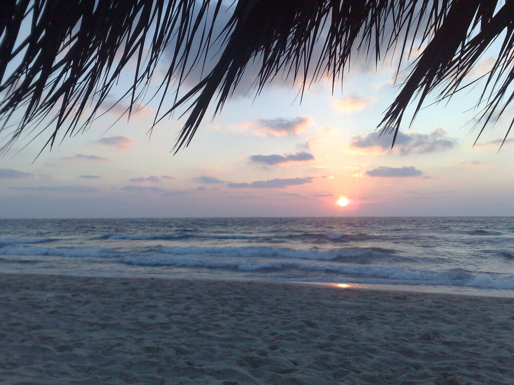 plage khan younes.jpg