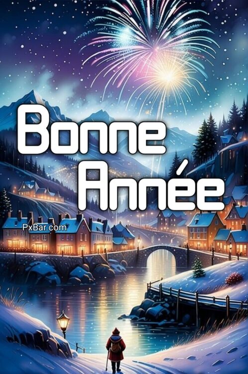 bonne-annee-2024-680x1024.thumb.jpg.60e6a564a69d180297e3316f2663d695.jpg