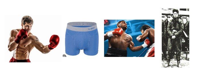 boxers.jpg.f65556826a44c5d957e78e5fcc41435d.jpg