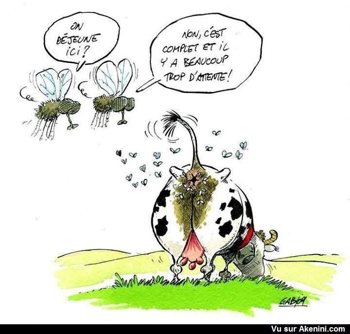 c295e903c681bb23c75ad13cc49be4b9--la-france-funny-cartoons.jpg.46670b76c3b894011715753546af6f1f.jpg