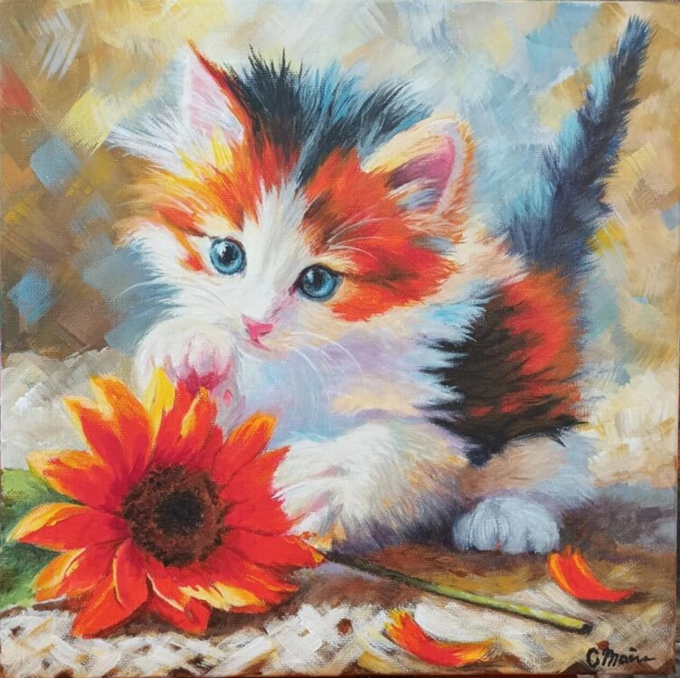 Poa3, Chaton espiegle, acrylique sur toile 30X30.jpg