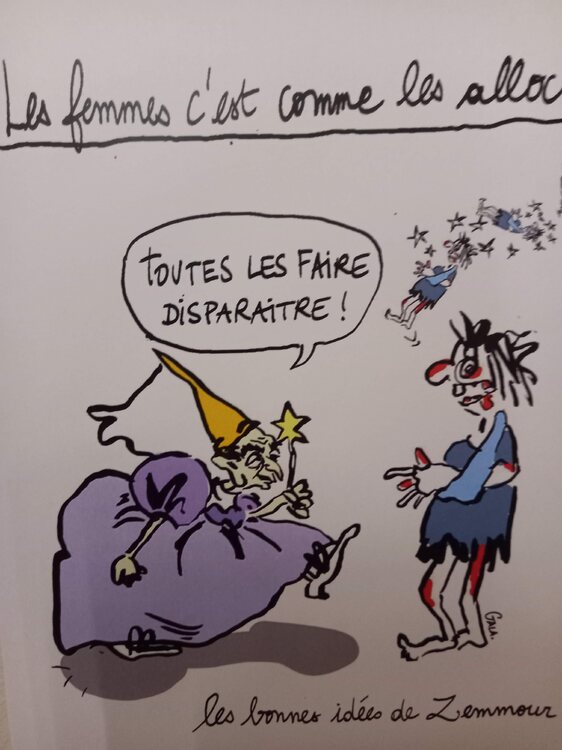 Zemmour et les femmes.jpg