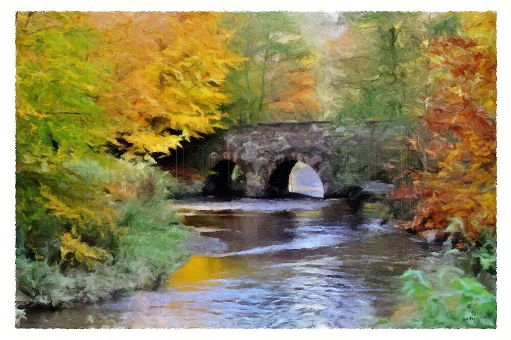 Arbre se balaçant.jpg