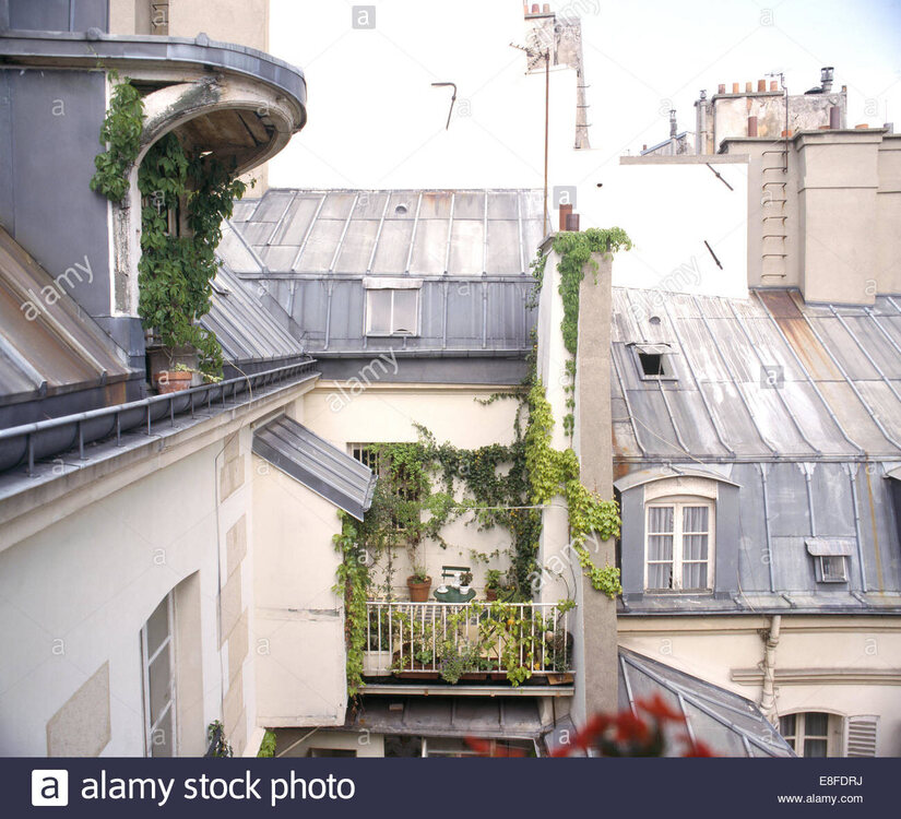 Paris  et ses toits.jpg