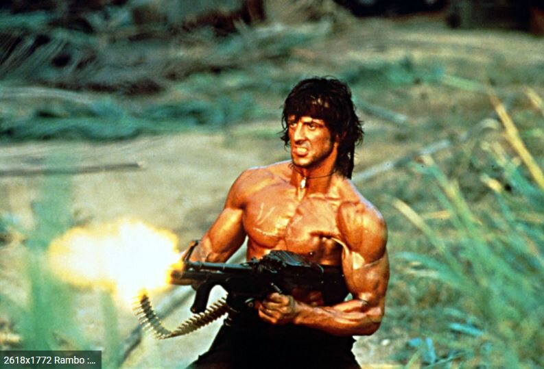 rambo.JPG.e3503345118c53e03cd1f78793b21b0e.JPG