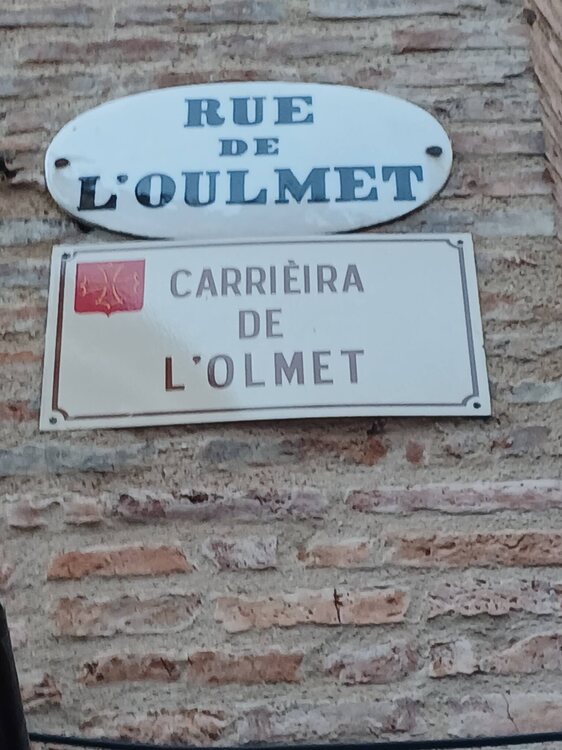 Olmet.jpg