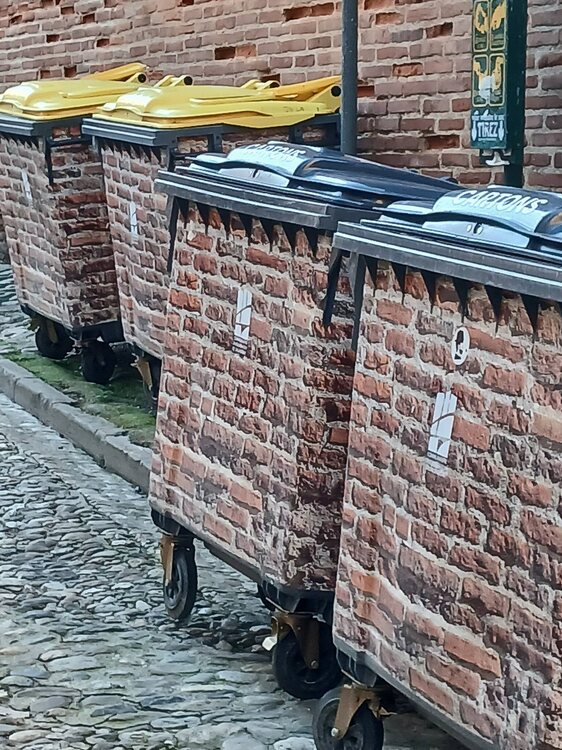 poubelles.jpg