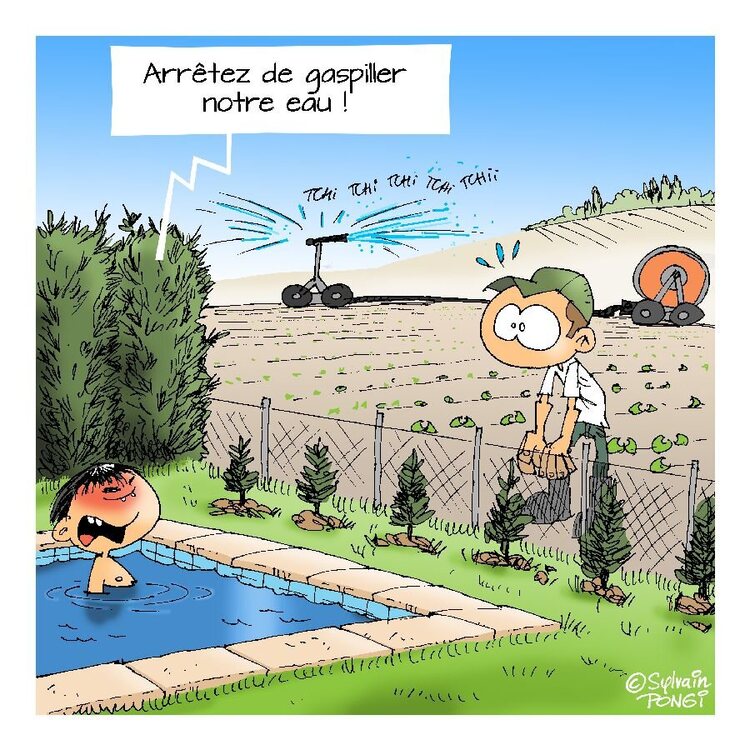 gachis d'eau.jpg