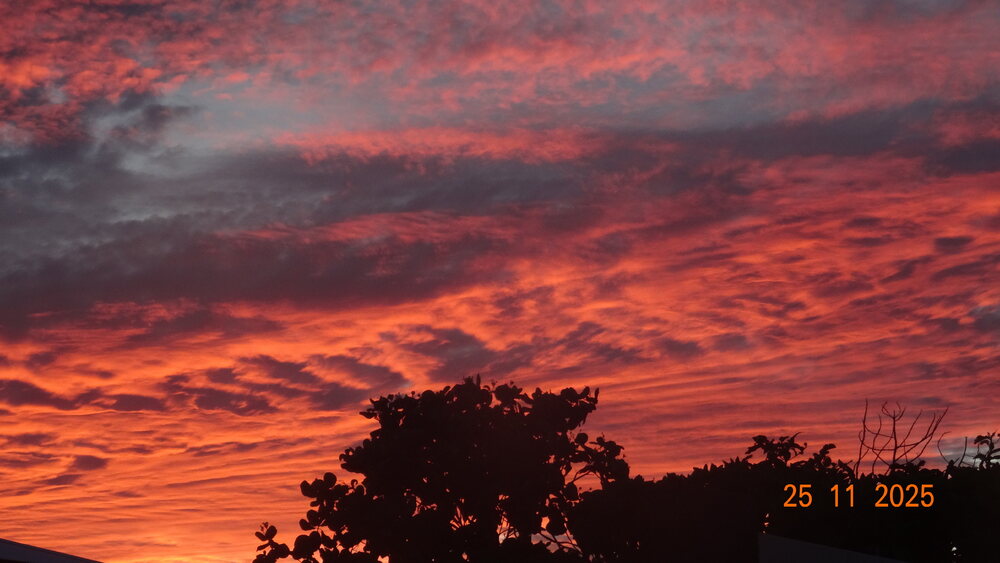 DSC00038.JPG