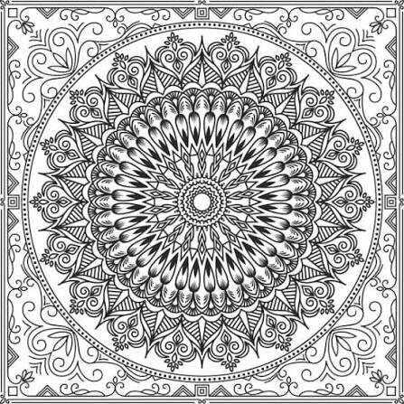 IMG_1841.jpeg.3171d8f2429c89d36f3df49e2a45ad8e.jpeg