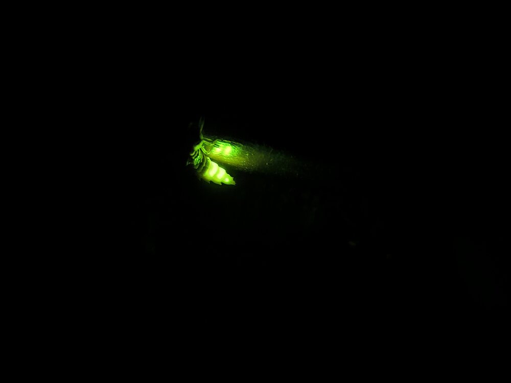 IMG_20260524_225402.jpg