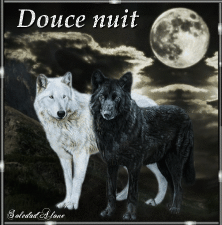 1111809811_DoucenuitLoups.gif.94dc30aa4a92c673867ddcec7330f4bc.gif.e9e938a6550c5fec24ab947bdb2f45b7.gif