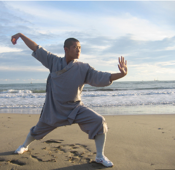 Taiji_Quan.PNG.d2ac559c2fc100c2b4f5ac68d6647b1b.PNG