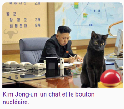 chat_bouton2.png.2def4ce0ae8ad34bc71ebe1a20518b2d.png