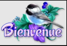 bienvenue_mesange.PNG.f064f29b7a988342dda1360bf676894a.PNG