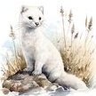 Herminie