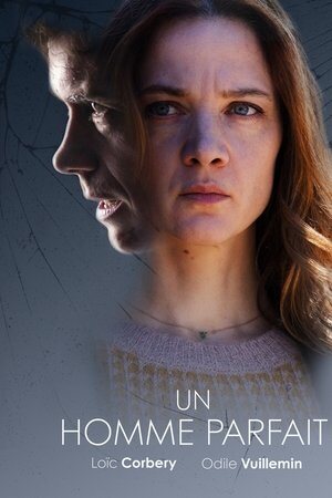 Un homme parfait